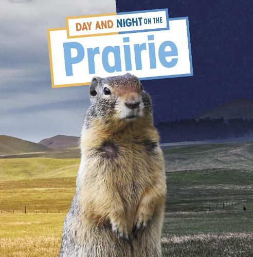 Cover image for Day and Night on the Prairie