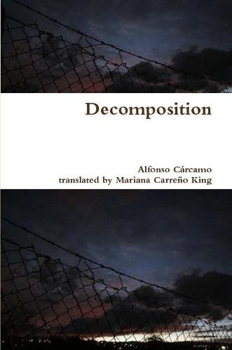 Cover image for Decomposition