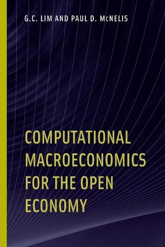 Computational Macroeconomics for the Open Economy