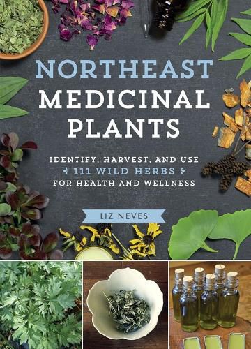 Cover image for Northeast Medicinal Plants: Identify, Harvest, and Use 111 Wild Herbs for Health and Wellness