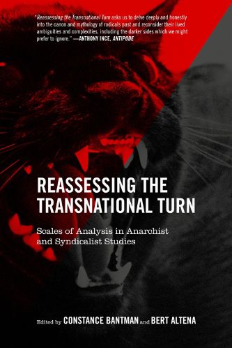 Reassessing The Transnational Turn: Scales of Analysis in Anarchist and Syndicalist Studies