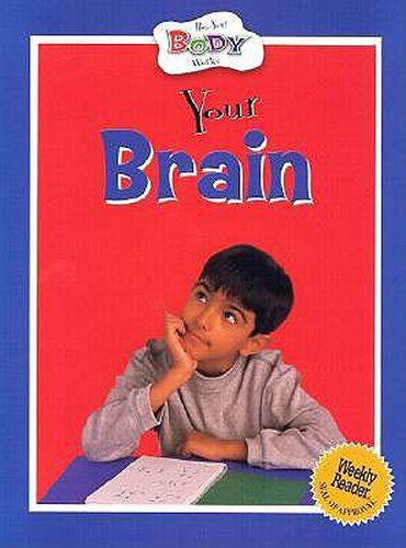 Cover image for Your Brain