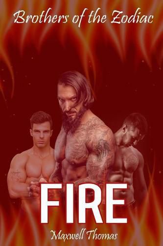 Cover image for Fire