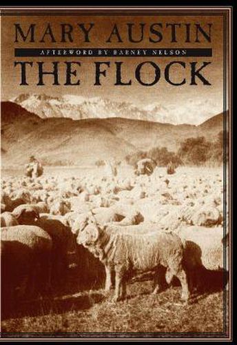 Cover image for The Flock