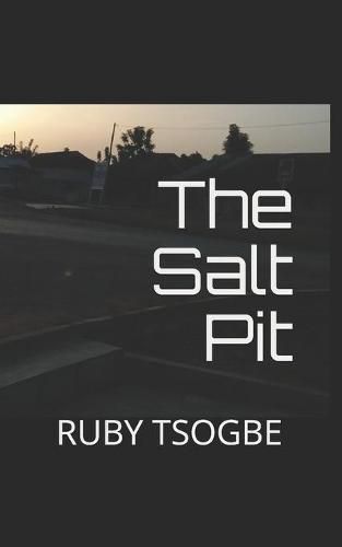 Cover image for The Salt Pit: A historical novel