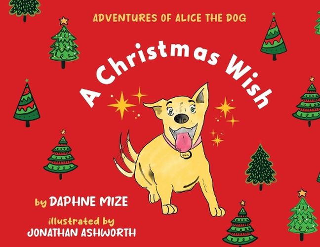 Cover image for A Christmas Wish
