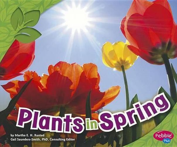 Cover image for Plants in Spring (All About Spring)