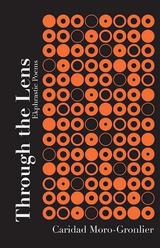 Cover image for Through the Lens (Volume 16)