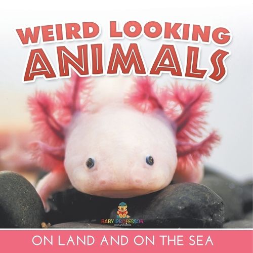 Cover image for Weird Looking Animals On Land and On The Sea