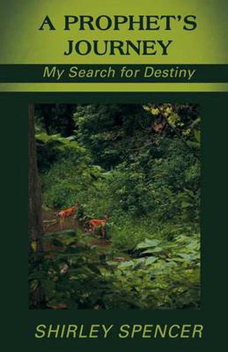 Cover image for A Prophet's Journey: My Search for Destiny