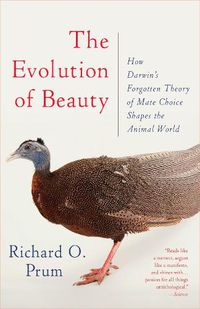 Cover image for The Evolution of Beauty: How Darwin's Forgotten Theory of Mate Choice Shapes the Animal World - and Us