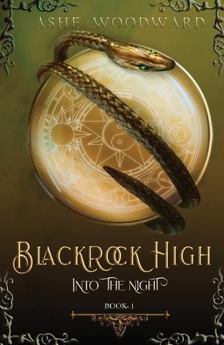 Cover image for Blackrock High