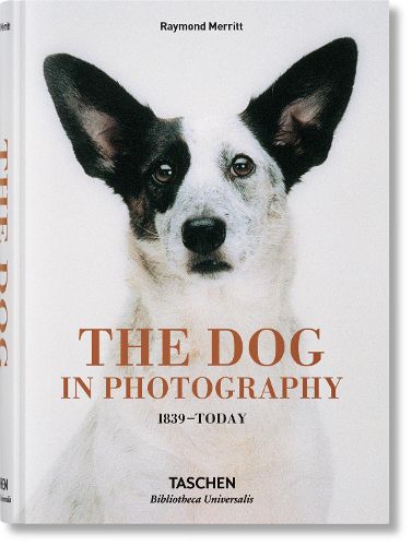 Cover image for The Dog in Photography 1839-Today