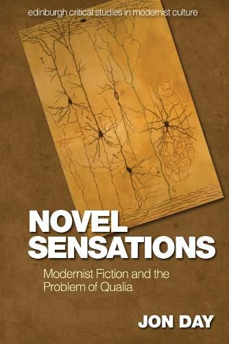 Cover image for Novel Sensations: Modernist Fiction and the Problem of Qualia