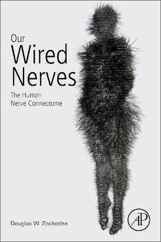 Cover image for Our Wired Nerves: The Human Nerve Connectome