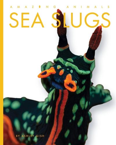 Cover image for Sea Slugs