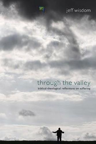 Cover image for Through the Valley