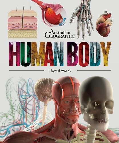 The Human Body: How it Works