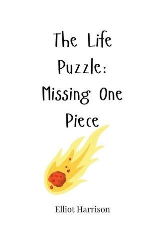 Cover image for The Life Puzzle