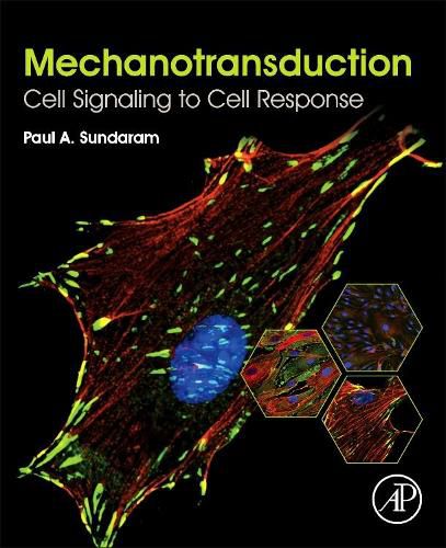 Cover image for Mechanotransduction: Cell Signaling to Cell Response