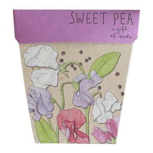 Cover image for Seed Card - Sweet Pea