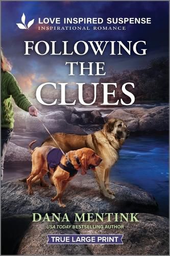 Cover image for Following the Clues