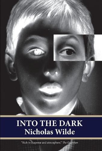 Cover image for Into the Dark