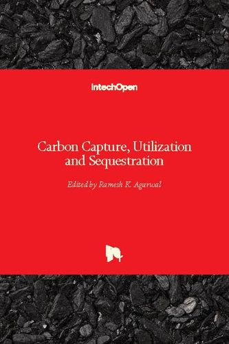 Cover image for Carbon Capture, Utilization and Sequestration