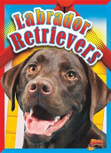 Cover image for Labrador Retrievers