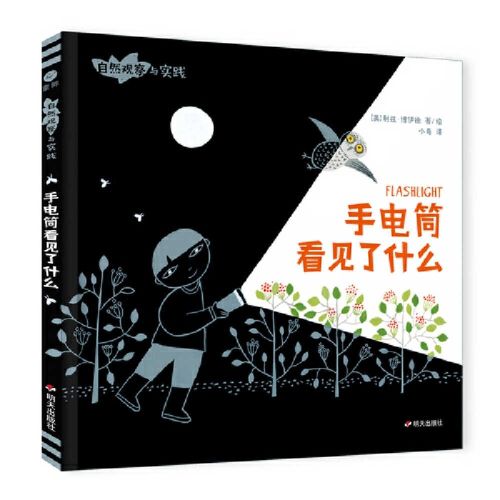 Cover image for Flashlight