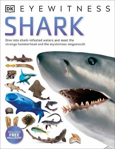 Cover image for Shark