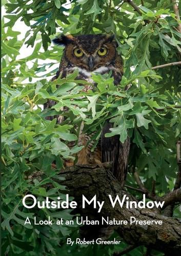 Cover image for Outside My Window