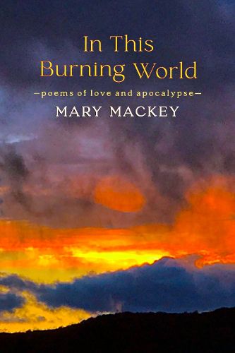Cover image for In This Burning World