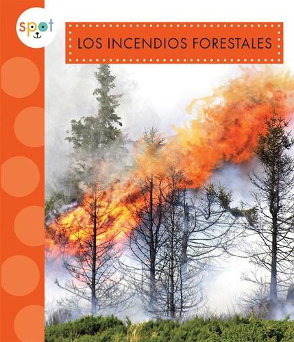 Cover image for Los Incendios Forestales