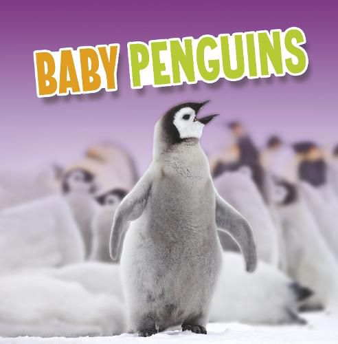 Cover image for Baby Penguins