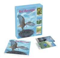 Cover image for Bird Messages: Includes 52 Specially Commissioned Cards and a 64-Page Illustrated Book