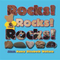 Cover image for Rocks! Rocks! Rocks!