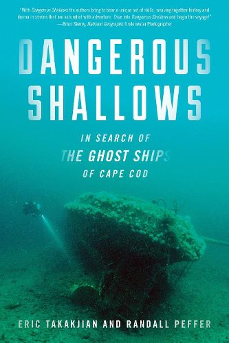 Cover image for Dangerous Shallows