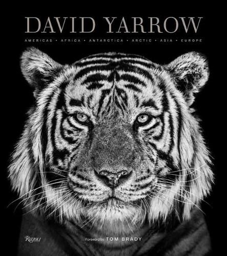 Cover image for David Yarrow Photography: Americas Africa Antarctica Arctic Asia Europe