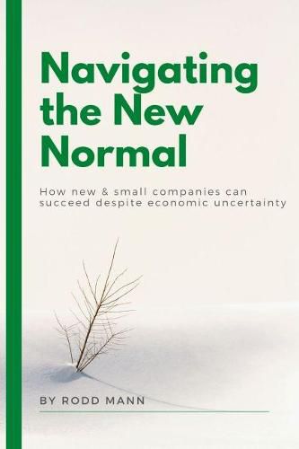 Cover image for Navigating the New Normal: How New & Small Companies Can Succeed Despite Economic Uncertainty