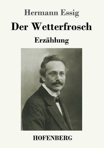 Cover image for Der Wetterfrosch: Erzahlung