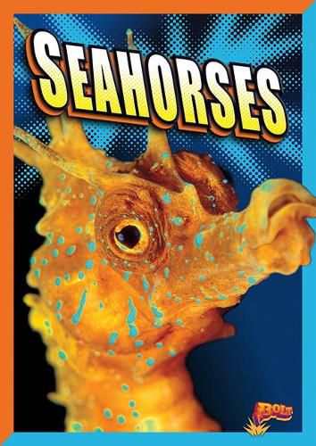 Cover image for Seahorses