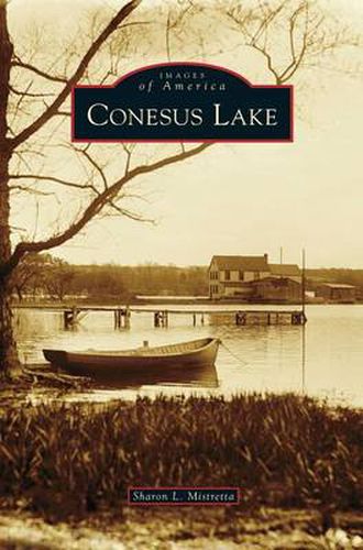 Cover image for Conesus Lake