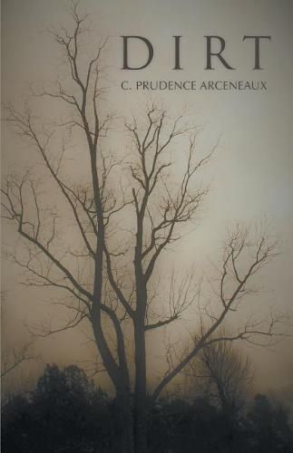 Cover image for Dirt