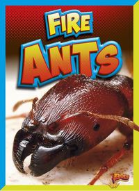 Cover image for Fire Ants