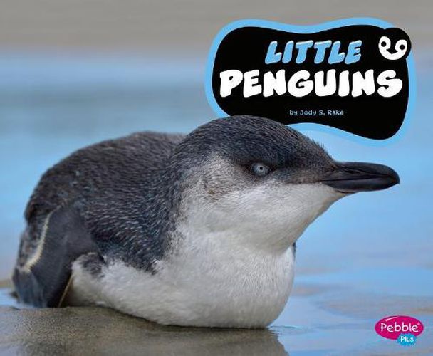 Cover image for Little Penguins