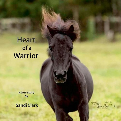 Cover image for Heart of a Warrior