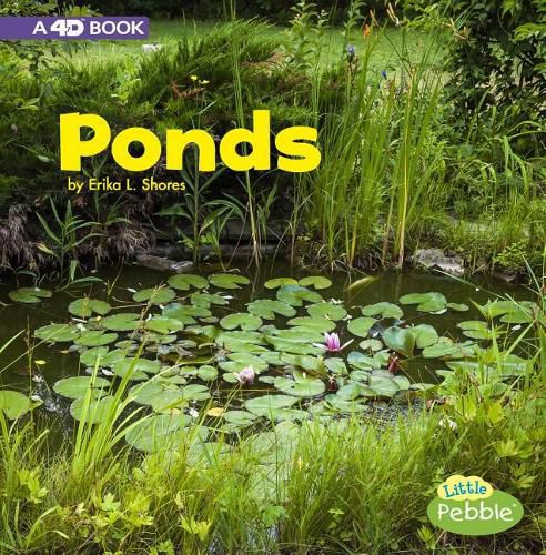 Cover image for Ponds: A 4D Book