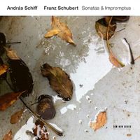 Cover image for Franz Schubert: Sonatas and Impromptus