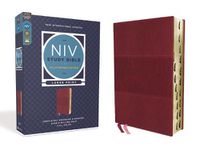 Cover image for NIV Study Bible, Fully Revised Edition, Large Print, Leathersoft, Burgundy, Red Letter, Thumb Indexed, Comfort Print